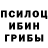 Псилоцибиновые грибы мицелий Aradersmoo