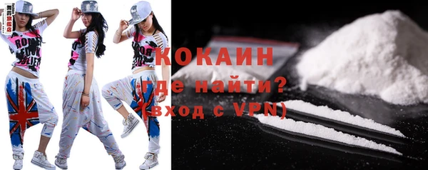 ГАЛЛЮЦИНОГЕННЫЕ ГРИБЫ Бородино