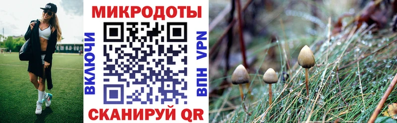 blacksprut зеркало  купить закладку  Димитровград  площадка как зайти  Псилоцибиновые грибы Magic Shrooms 